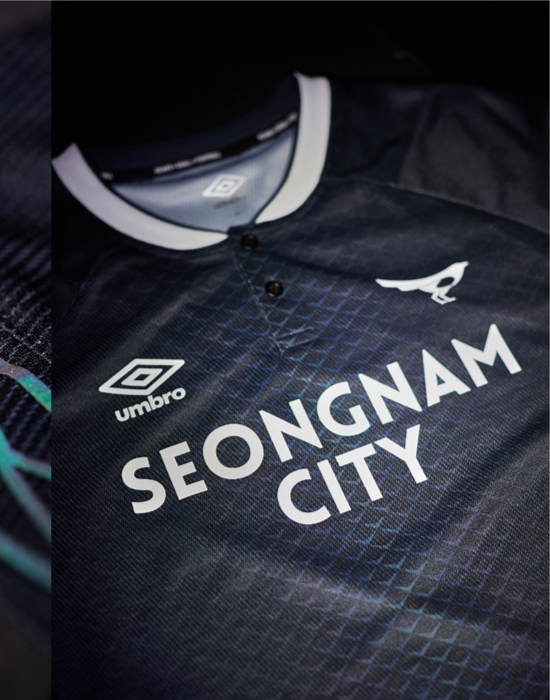 성남 FC 대표이미지 2번