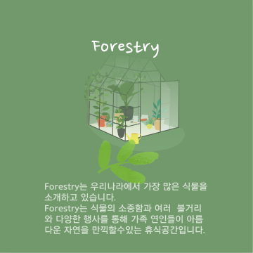 카드 뉴스 사진
