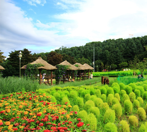 포레스트리 전경