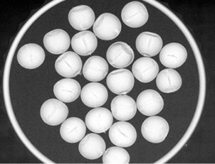 그림3. X-ray 이용한 비파괴검사